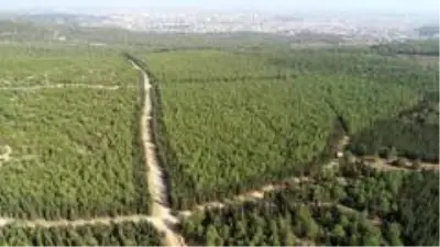 13 gündür kayıp Duygu Çelikten cinayetinde kan donduran detaylar! Cansız bedenin üzerini taşla kapatmışlar 13 gündür kayıp Duygu Çelikten cinayetinde kan donduran detaylar! Cansız bedenin üzerini taşla kapatmışlar