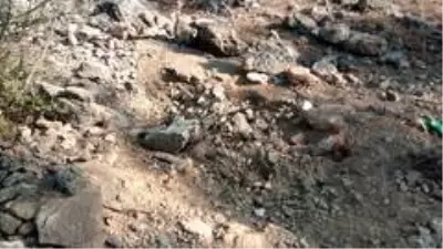 13 gündür kayıp Duygu Çelikten cinayetinde kan donduran detaylar! Cansız bedenin üzerini taşla kapatmışlar 13 gündür kayıp Duygu Çelikten cinayetinde kan donduran detaylar! Cansız bedenin üzerini taşla kapatmışlar