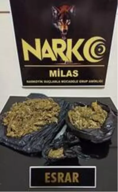 53 ayrı çalışmada 14 tutuklama kararı çıktı 53 ayrı çalışmada 14 tutuklama kararı çıktı
