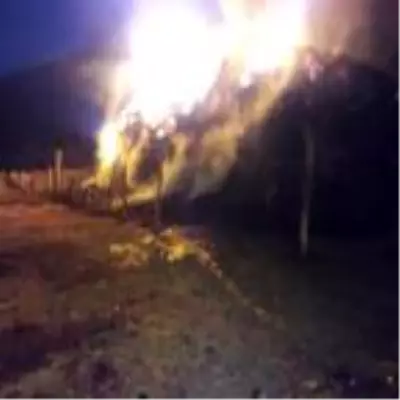 Ağrı'da 50 ton ot ve saman kül oldu Ağrı'da 50 ton ot ve saman kül oldu
