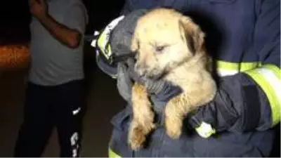 Son dakika haber | Antalya'da köpeği kurtarmak isterken mahsur kalan vatandaşı kurtarma operasyonu Son dakika haber | Antalya'da köpeği kurtarmak isterken mahsur kalan vatandaşı kurtarma operasyonu