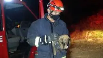 Son dakika haber | Antalya'da köpeği kurtarmak isterken mahsur kalan vatandaşı kurtarma operasyonu Son dakika haber | Antalya'da köpeği kurtarmak isterken mahsur kalan vatandaşı kurtarma operasyonu