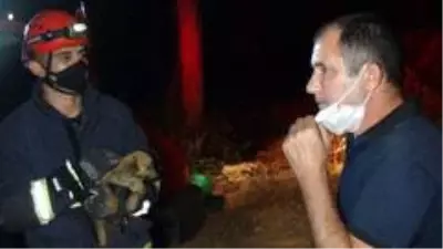 Son dakika haber | Antalya'da köpeği kurtarmak isterken mahsur kalan vatandaşı kurtarma operasyonu Son dakika haber | Antalya'da köpeği kurtarmak isterken mahsur kalan vatandaşı kurtarma operasyonu