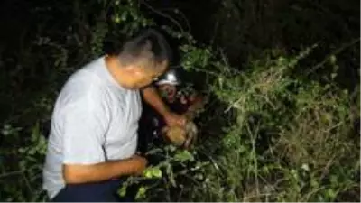 Son dakika haber | Antalya'da köpeği kurtarmak isterken mahsur kalan vatandaşı kurtarma operasyonu Son dakika haber | Antalya'da köpeği kurtarmak isterken mahsur kalan vatandaşı kurtarma operasyonu