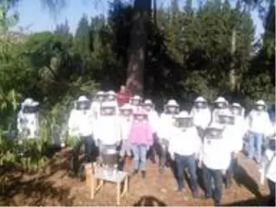 Aydınlı arıcılar sertifikalı oldu Aydınlı arıcılar sertifikalı oldu