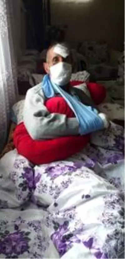 Ayının saldırdığı yaşlı adamı orman işçilerine ait köpek kurtardı Ayının saldırdığı yaşlı adamı orman işçilerine ait köpek kurtardı