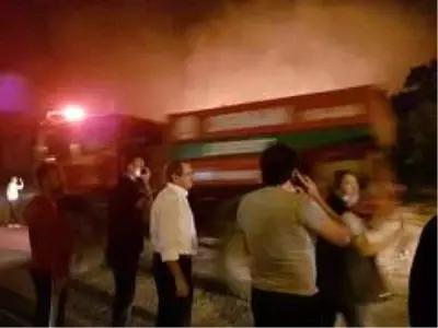 Ayvalık Belediye Başkanı Ergin: 'Yanan alanların bir karışını bile aç gözlü rantçılara teslim... Ayvalık Belediye Başkanı Ergin: 'Yanan alanların bir karışını bile aç gözlü rantçılara teslim...