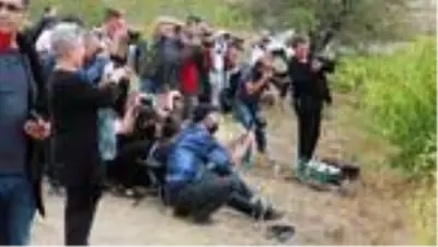 Bağ bozumu telaşı fotoğraf tutkunlarını Trakya bağlarına çekiyor Bağ bozumu telaşı fotoğraf tutkunlarını Trakya bağlarına çekiyor
