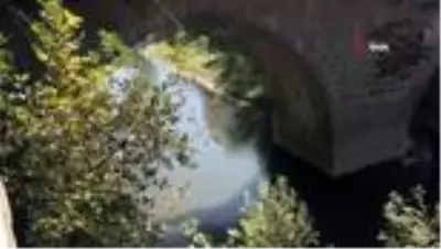Bartın Irmağı'nda yüzlerce balık ölüsü kıyıya vurdu Bartın Irmağı'nda yüzlerce balık ölüsü kıyıya vurdu