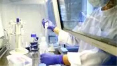 DSÖ'den testleri devam eden korona aşılarıyla ilgili tedirgin eden sözler: Hiçbirinin garantisi yok DSÖ'den testleri devam eden korona aşılarıyla ilgili tedirgin eden sözler: Hiçbirinin garantisi yok