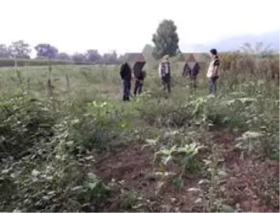 Düzce'de kaçak avcılıkla mücadele devam ediyor Düzce'de kaçak avcılıkla mücadele devam ediyor
