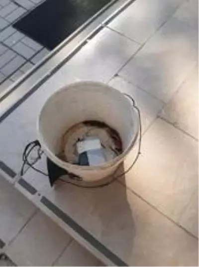 Düzce'de kaçak avcılıkla mücadele devam ediyor Düzce'de kaçak avcılıkla mücadele devam ediyor