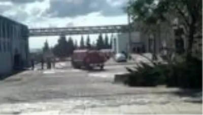 Ergene'de fabrikada çıkan yangın söndürüldü Ergene'de fabrikada çıkan yangın söndürüldü