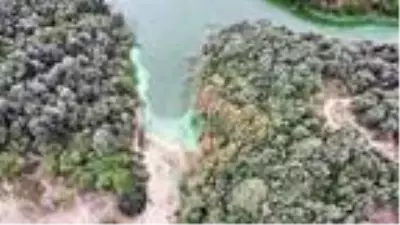 Eyüpsultan'da bulunan Şahintepe Gölü'ne dökülen kimyasal atık görenleri şaşırttı Eyüpsultan'da bulunan Şahintepe Gölü'ne dökülen kimyasal atık görenleri şaşırttı
