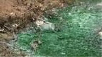 Eyüpsultan'da bulunan Şahintepe Gölü'ne dökülen kimyasal atık görenleri şaşırttı Eyüpsultan'da bulunan Şahintepe Gölü'ne dökülen kimyasal atık görenleri şaşırttı