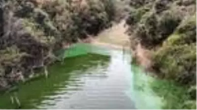 Eyüpsultan'da bulunan Şahintepe Gölü'ne dökülen kimyasal atık görenleri şaşırttı Eyüpsultan'da bulunan Şahintepe Gölü'ne dökülen kimyasal atık görenleri şaşırttı