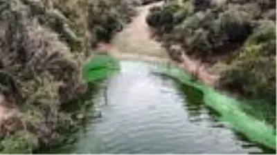 Eyüpsultan'da bulunan Şahintepe Gölü'ne dökülen kimyasal atık görenleri şaşırttı Eyüpsultan'da bulunan Şahintepe Gölü'ne dökülen kimyasal atık görenleri şaşırttı
