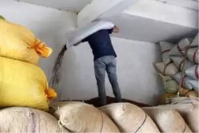 Fındık fiyatları haftaya yükselişle başladı Fındık fiyatları haftaya yükselişle başladı