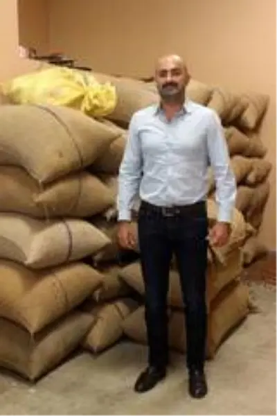 Fındık fiyatları haftaya yükselişle başladı Fındık fiyatları haftaya yükselişle başladı