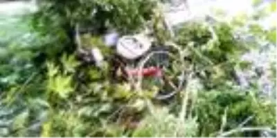 Freni boşalan kamyon çocuk parkındaki elektrik direğine çarparak durabildi! Çocuklar son anda kurtuldu Freni boşalan kamyon çocuk parkındaki elektrik direğine çarparak durabildi! Çocuklar son anda kurtuldu