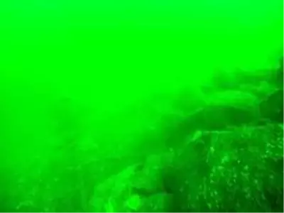 Habercilikte bir ilk...Haliç su altı kamerası ile görüntülendi Habercilikte bir ilk...Haliç su altı kamerası ile görüntülendi