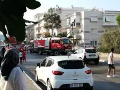 Son dakika haber... İzmir'de alevlerin arasında kalan 5 yavru kedi, itfaiye ekiplerince kurtarıldı Son dakika haber... İzmir'de alevlerin arasında kalan 5 yavru kedi, itfaiye ekiplerince kurtarıldı