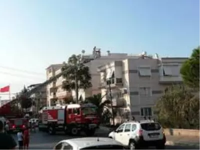 Son dakika haber... İzmir'de alevlerin arasında kalan 5 yavru kedi, itfaiye ekiplerince kurtarıldı Son dakika haber... İzmir'de alevlerin arasında kalan 5 yavru kedi, itfaiye ekiplerince kurtarıldı