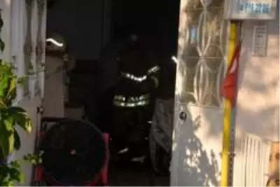 Son dakika haber... İzmir'de alevlerin arasında kalan 5 yavru kedi, itfaiye ekiplerince kurtarıldı Son dakika haber... İzmir'de alevlerin arasında kalan 5 yavru kedi, itfaiye ekiplerince kurtarıldı
