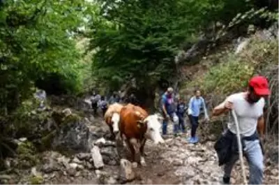 İznik'in doğası yürüyüş severleri bekliyor İznik'in doğası yürüyüş severleri bekliyor