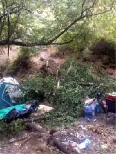 Kampçıların üzerine ağaç devrildi: 1'i ağır 4 yaralı Kampçıların üzerine ağaç devrildi: 1'i ağır 4 yaralı