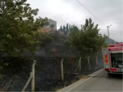 Son dakika haber | Karacabey'de çıkan yangında hayvanlar telef oldu Son dakika haber | Karacabey'de çıkan yangında hayvanlar telef oldu