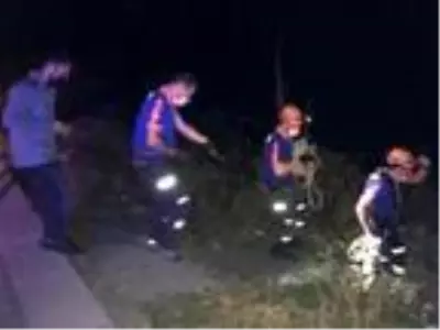 Kayalıkların arasına düşerek yaralandı Kayalıkların arasına düşerek yaralandı