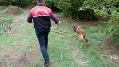 2 gündür aranan 4 çocuk babasının cansız bedeni, fındık bahçesinde bulundu 2 gündür aranan 4 çocuk babasının cansız bedeni, fındık bahçesinde bulundu
