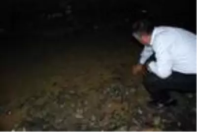 Kuruyan ırmak yatağındaki balıklar gölet açılarak kurtarıldı Kuruyan ırmak yatağındaki balıklar gölet açılarak kurtarıldı
