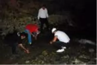 Kuruyan ırmak yatağındaki balıklar gölet açılarak kurtarıldı Kuruyan ırmak yatağındaki balıklar gölet açılarak kurtarıldı