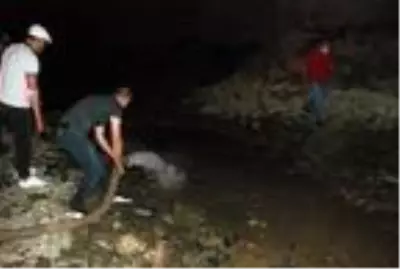 Kuruyan ırmak yatağındaki balıklar gölet açılarak kurtarıldı Kuruyan ırmak yatağındaki balıklar gölet açılarak kurtarıldı