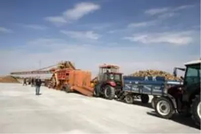Malazgirt'te pancar alım kampanyası törenle başladı Malazgirt'te pancar alım kampanyası törenle başladı