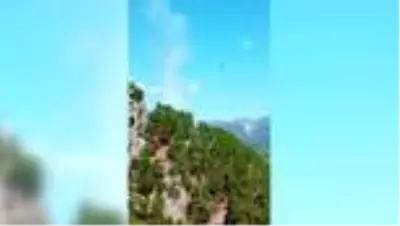 Muğla'da çıkan orman yangını kontrol altına alınmaya çalışılıyor Muğla'da çıkan orman yangını kontrol altına alınmaya çalışılıyor
