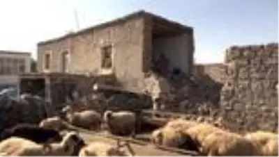 Niğde Valisi Şimşek depremden etkilenen Obruk köyünde incelemelerde bulundu Niğde Valisi Şimşek depremden etkilenen Obruk köyünde incelemelerde bulundu