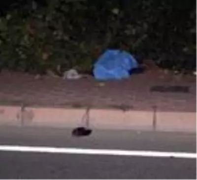 Karşıdan karşıya geçerken otomobil çarpan yaya, hayatını kaybetti Karşıdan karşıya geçerken otomobil çarpan yaya, hayatını kaybetti