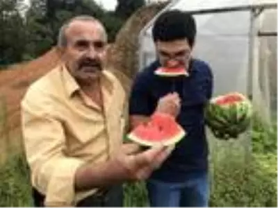 Rize?de teyze-yeğen, komşularına inat çekirdekten karpuz yetiştirdi Rize?de teyze-yeğen, komşularına inat çekirdekten karpuz yetiştirdi