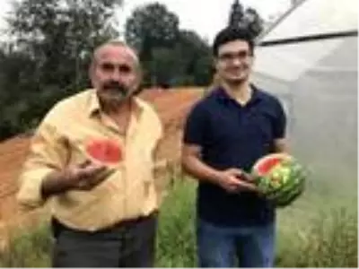 Rize?de teyze-yeğen, komşularına inat çekirdekten karpuz yetiştirdi Rize?de teyze-yeğen, komşularına inat çekirdekten karpuz yetiştirdi