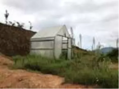 Rize?de teyze-yeğen, komşularına inat çekirdekten karpuz yetiştirdi Rize?de teyze-yeğen, komşularına inat çekirdekten karpuz yetiştirdi