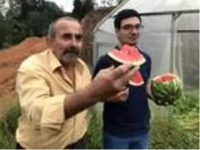 Rize?de teyze-yeğen, komşularına inat çekirdekten karpuz yetiştirdi Rize?de teyze-yeğen, komşularına inat çekirdekten karpuz yetiştirdi