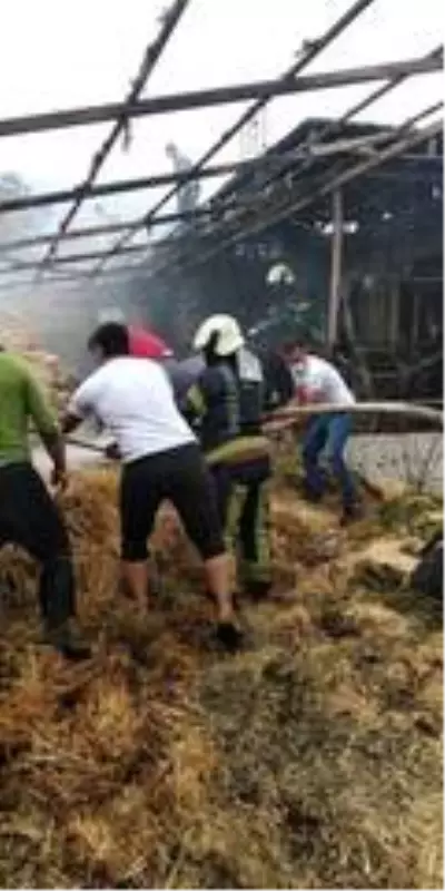 Son dakika 3. sayfa: Samanlıkta çıkan yangın korkuttu! Son dakika 3. sayfa: Samanlıkta çıkan yangın korkuttu!