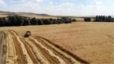 Sertifikalı tohum verimi yüzde 30 artırıyor Sertifikalı tohum verimi yüzde 30 artırıyor