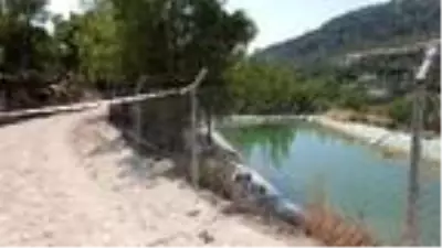 Silifke'de dayı ve yeğen, sulama havuzunda ölü bulundu Silifke'de dayı ve yeğen, sulama havuzunda ölü bulundu