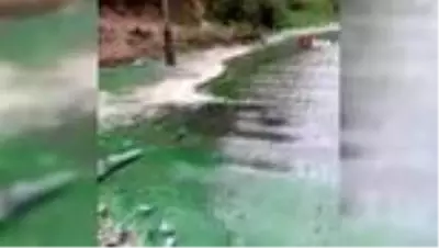Sultangazi'de baraj suyu yeşile döndü Sultangazi'de baraj suyu yeşile döndü