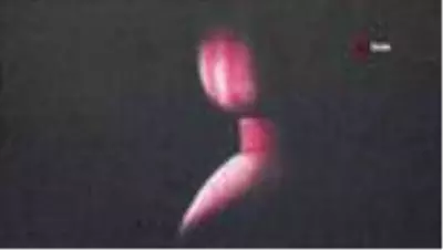 Tillo Işık Hadisesi hazırlıkları tamamlandı Tillo Işık Hadisesi hazırlıkları tamamlandı