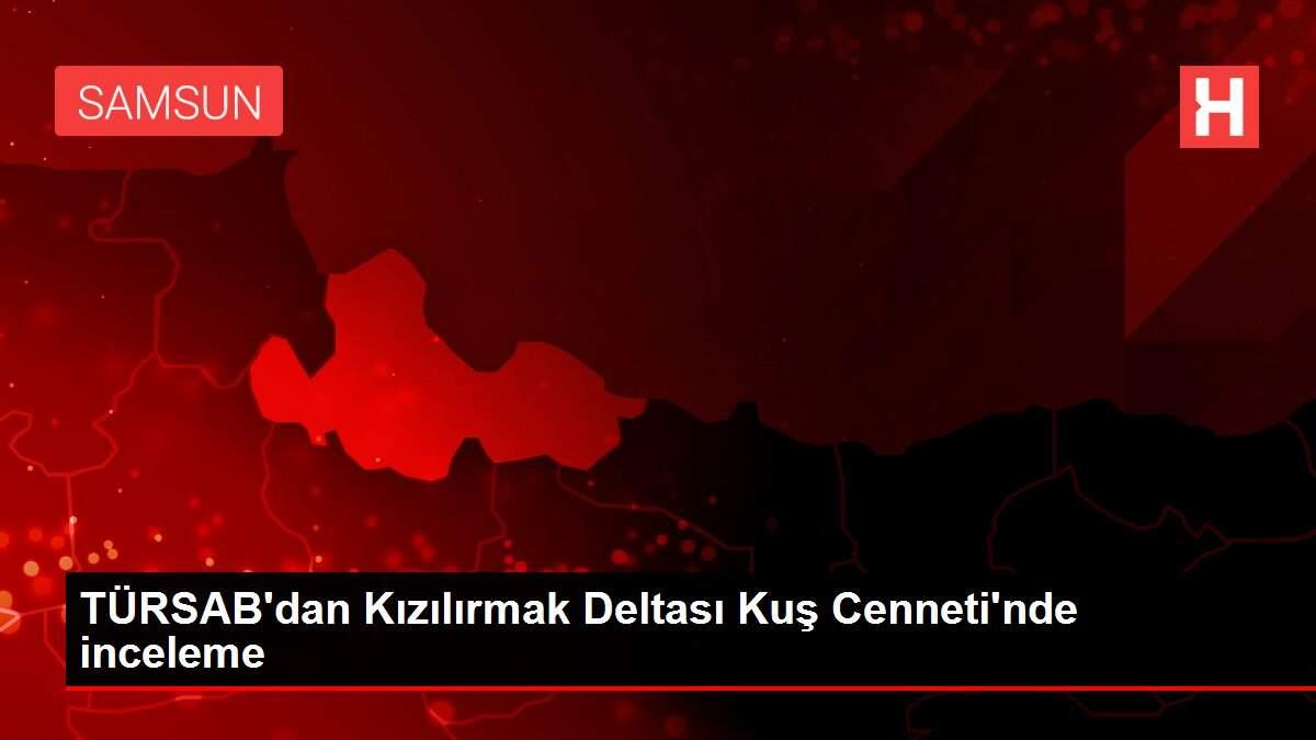 TÜRSAB'dan Kızılırmak Deltası Kuş Cenneti'nde inceleme TÜRSAB'dan Kızılırmak Deltası Kuş Cenneti'nde inceleme
